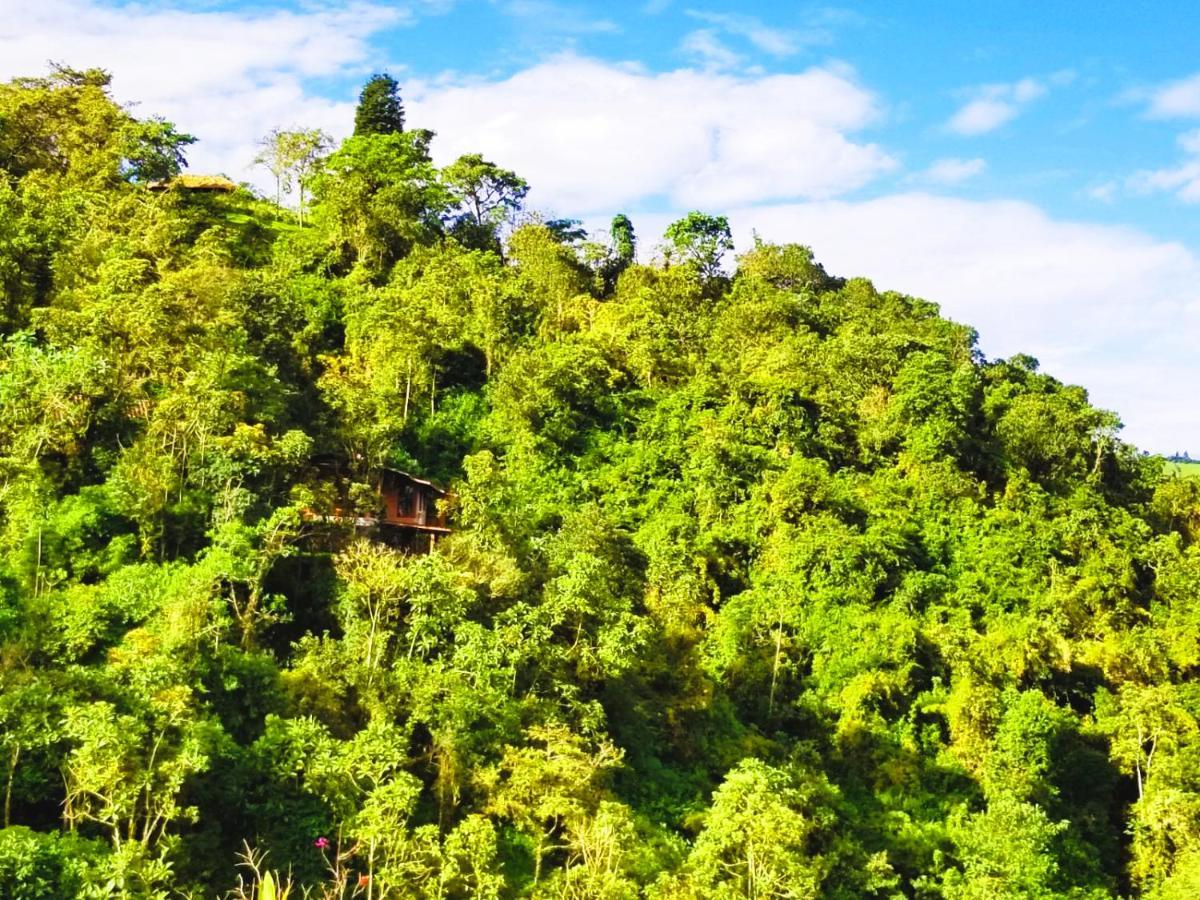 Finca Petrona Calacali Dış mekan fotoğraf
