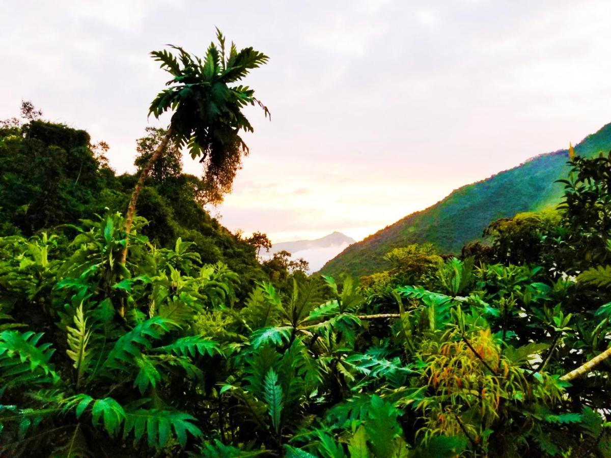 Finca Petrona Calacali Dış mekan fotoğraf