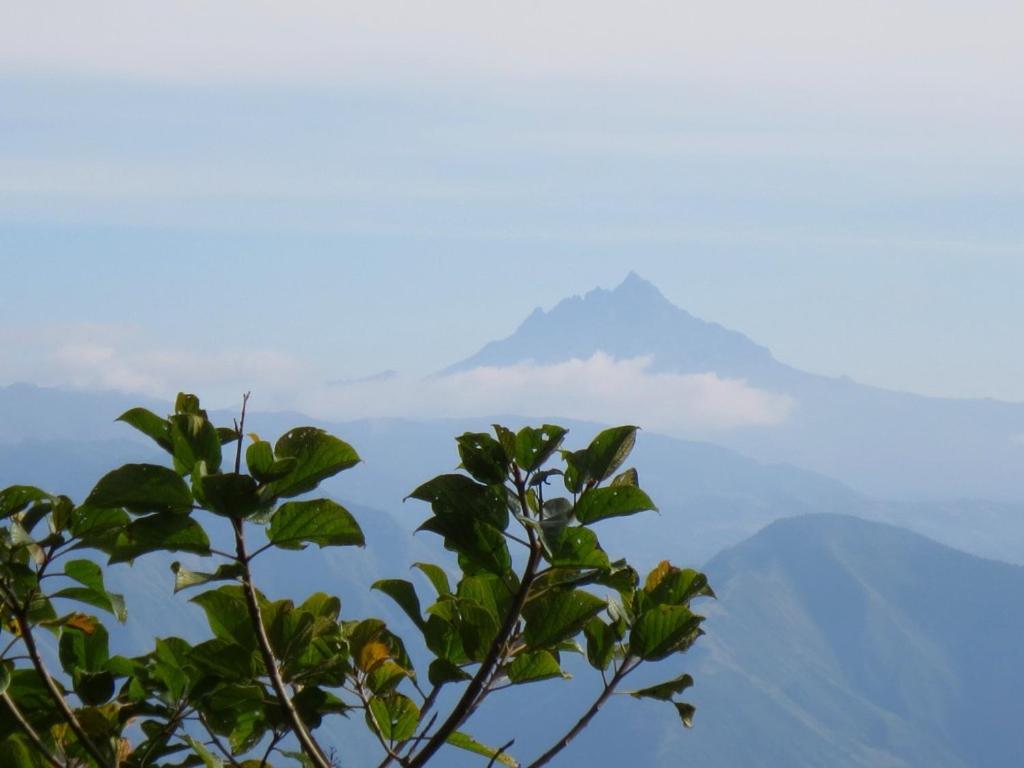 Finca Petrona Calacali Dış mekan fotoğraf