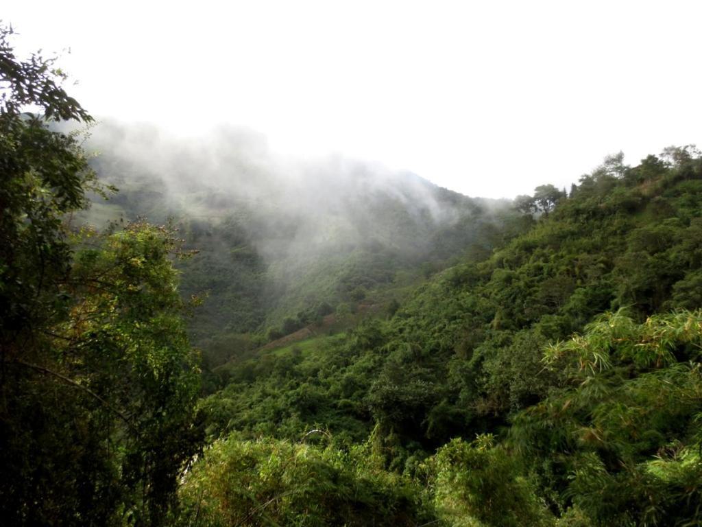 Finca Petrona Calacali Dış mekan fotoğraf