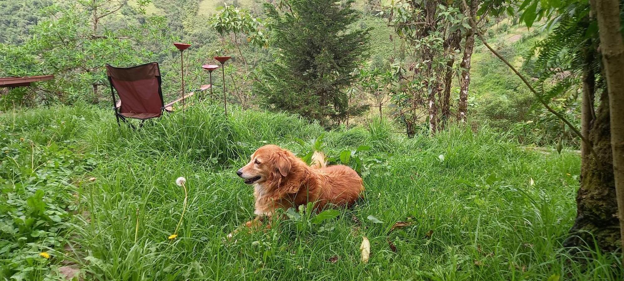 Finca Petrona Calacali Dış mekan fotoğraf