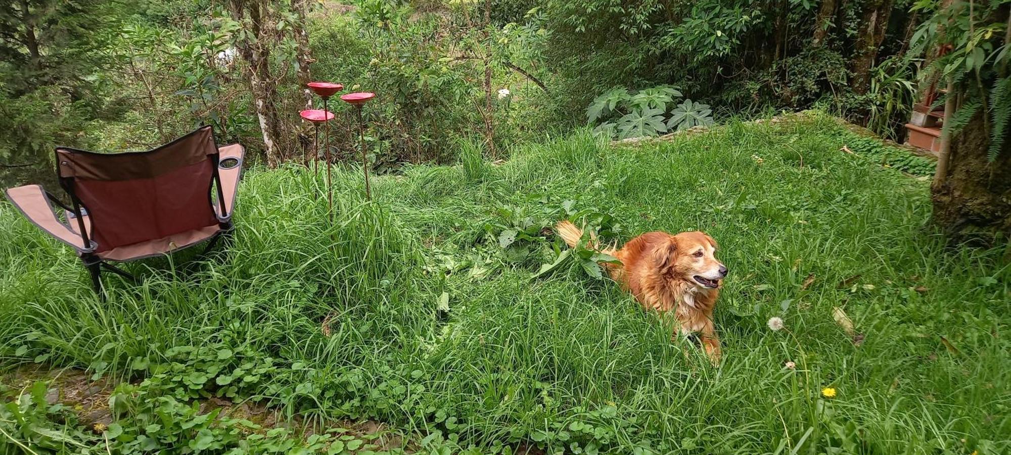 Finca Petrona Calacali Dış mekan fotoğraf