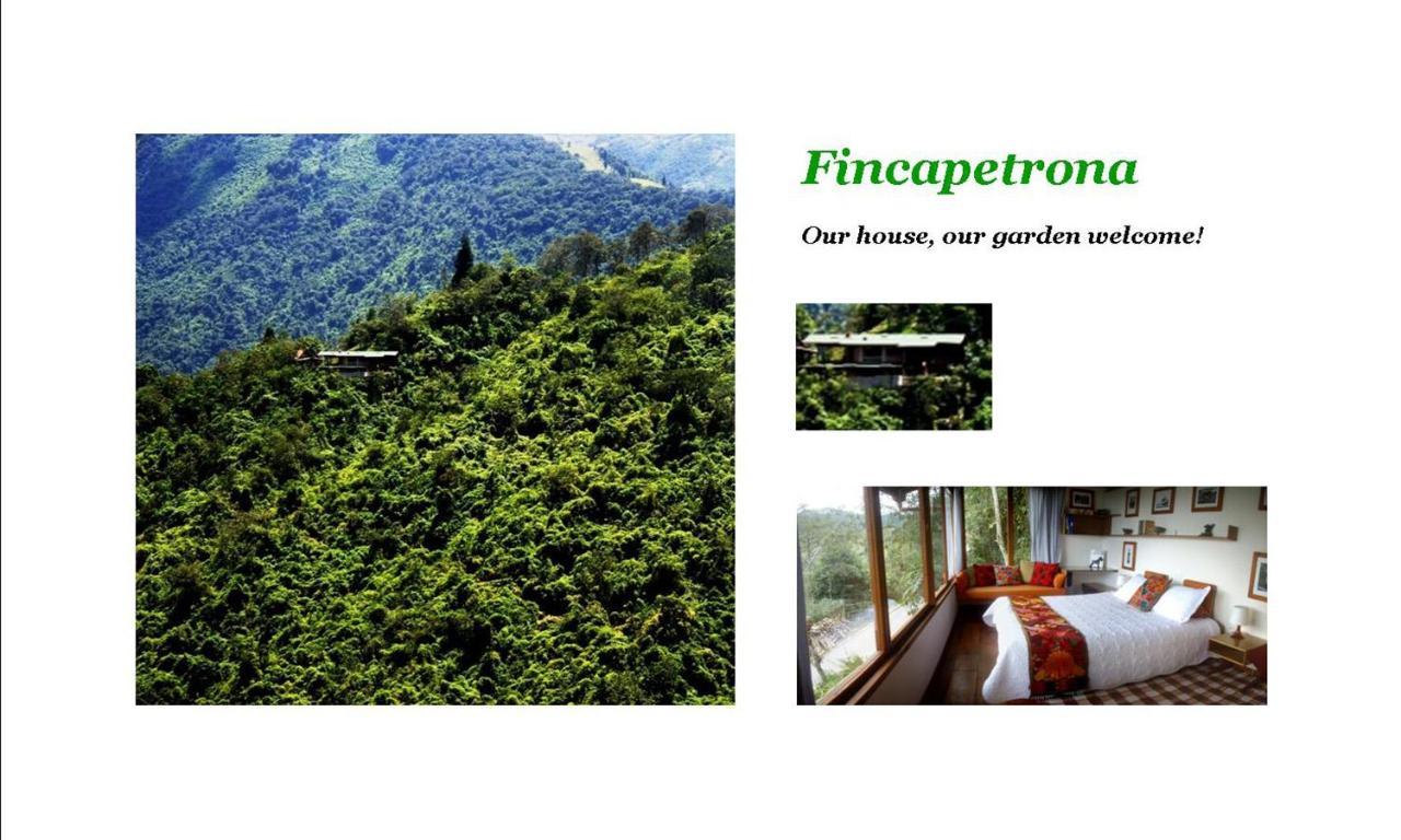 Finca Petrona Calacali Dış mekan fotoğraf